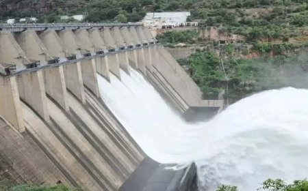 पानी विवाद: पंजाब सरकार ने BBMB को भाखड़ा डैम से हरियाणा को अतिरिक्त पानी छोड़ने से रोका